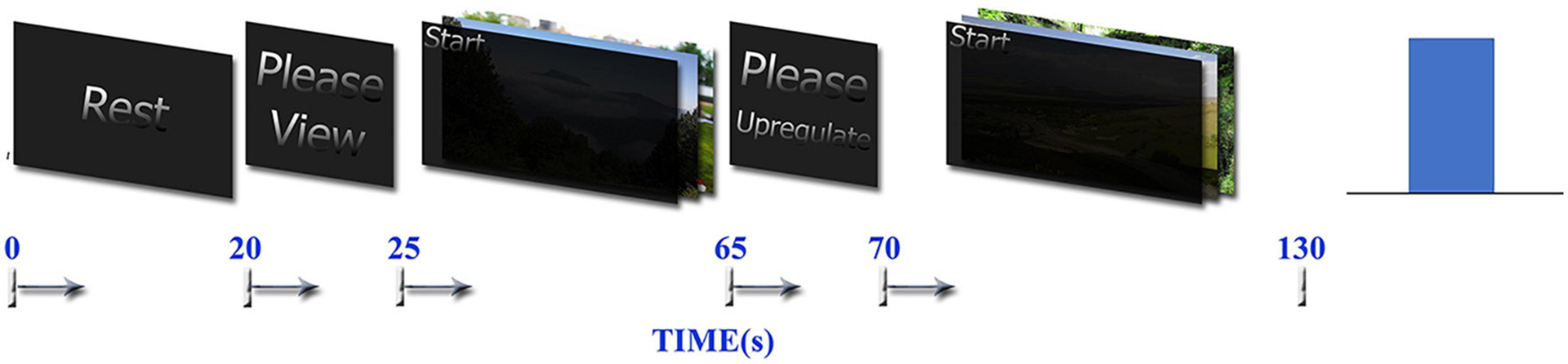 Probing fMRI brain connectivity and activity changes during emotion regulation by EEG neurofeedback